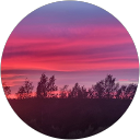 Arja H profile picture